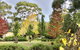 Naturescape - thumb 1