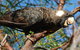 Margaret River Hideaway & Farmstay - thumb 22