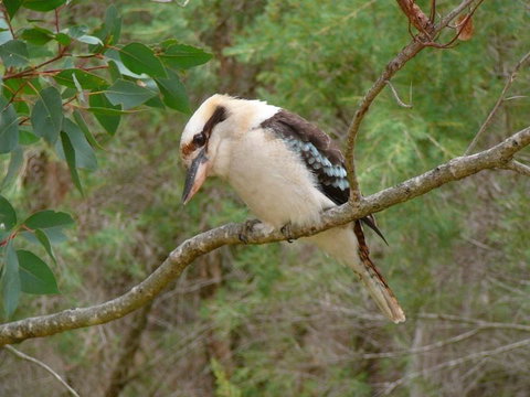 Margaret River Hideaway & Farmstay - Food Delivery Shop 31