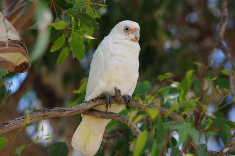 Margaret River Hideaway & Farmstay - Food Delivery Shop 26