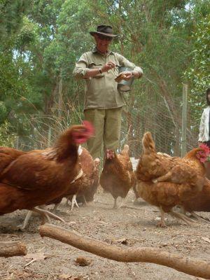 Margaret River Hideaway & Farmstay - Food Delivery Shop 28