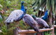 Margaret River Hideaway & Farmstay - thumb 19