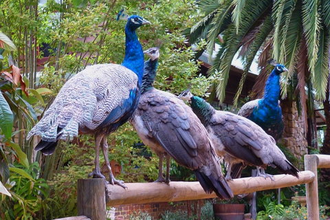 Margaret River Hideaway & Farmstay - Food Delivery Shop 19