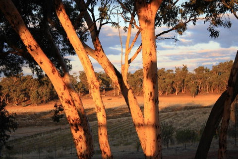 Hotham Ridge Estate - Food Delivery Shop 30