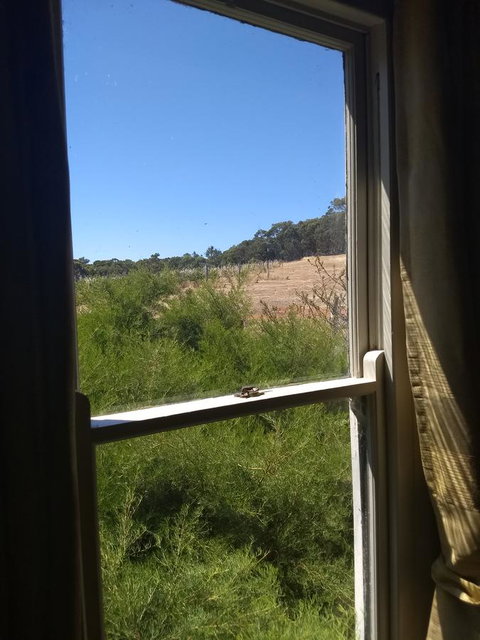 Hotham Ridge Estate - Food Delivery Shop 8
