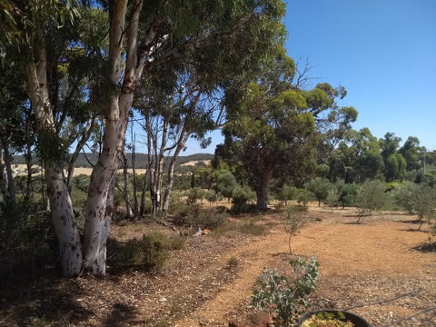 Hotham Ridge Estate - Food Delivery Shop 13