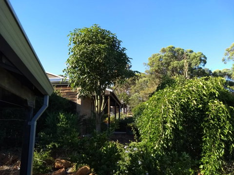 Hotham Ridge Estate - Food Delivery Shop 5
