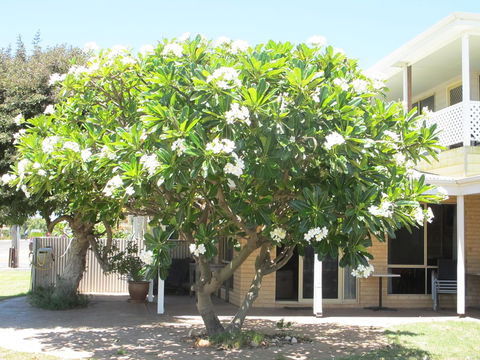 Kalbarri Riverfront Unit - Food Delivery Shop 6