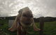 Tanen Farm - thumb 7