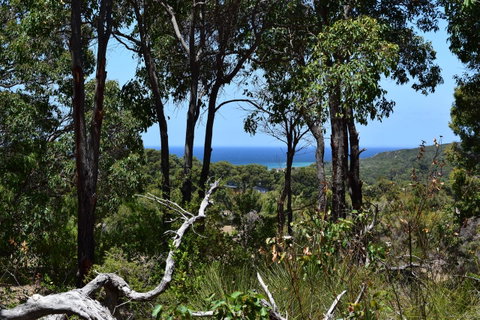 Eagle Bay House - Food Delivery Shop 38