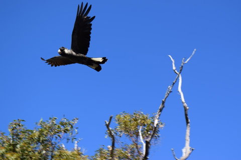 Eagle Bay House - Food Delivery Shop 8