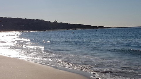 Eagle Bay Discovery - Food Delivery Shop 0