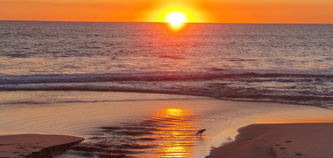 Scarborough Beach Front Resort - Shell Seven - Food Delivery Shop 23