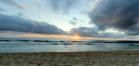 Scarborough Beach Front Resort - Shell Seven - Food Delivery Shop 19