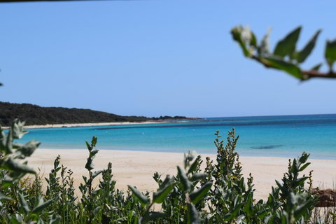 Eagle Bay House - Food Delivery Shop 13
