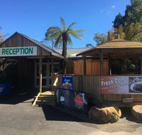 Tullah Lakeside Lodge - Food Delivery Shop