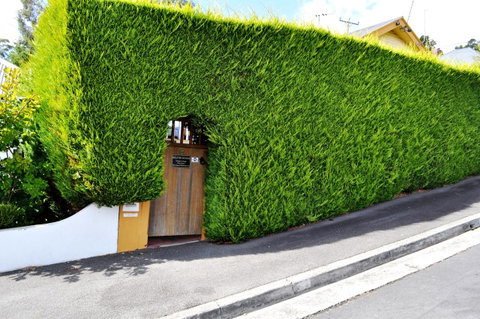 Belton Apartments-Hedge Cottage - Food Delivery Shop 13