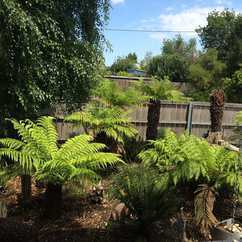 Pinestumps Holiday Home - Food Delivery Shop 14