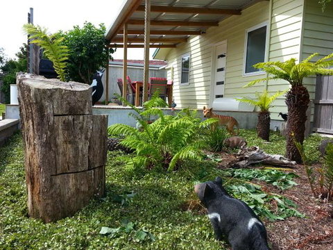 Pinestumps Holiday Home - Food Delivery Shop 12