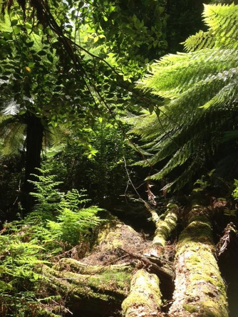 Sheer Pleasure Accommodation - Food Delivery Shop 25