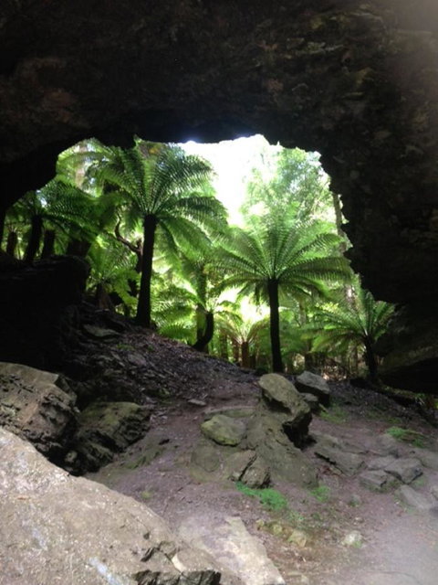 Sheer Pleasure Accommodation - Food Delivery Shop 21