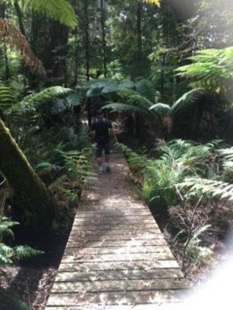 Sheer Pleasure Accommodation - Food Delivery Shop 23