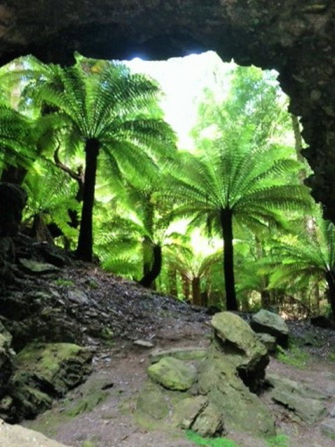 Sheer Pleasure Accommodation - Food Delivery Shop 22