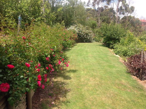 Sheer Pleasure Accommodation - Food Delivery Shop 7