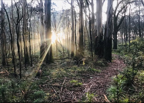 Northfield Boutique Apartments - Food Delivery Shop 2