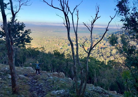 Northfield Boutique Apartments - Food Delivery Shop 3