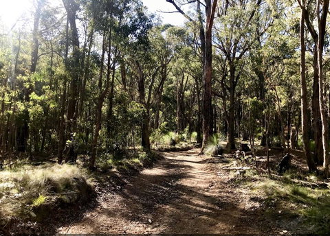 Northfield Boutique Apartments - Food Delivery Shop 1