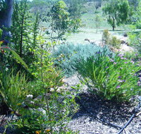 Old Miners' Cottages Bed and Breakfast - Pet Food Australia