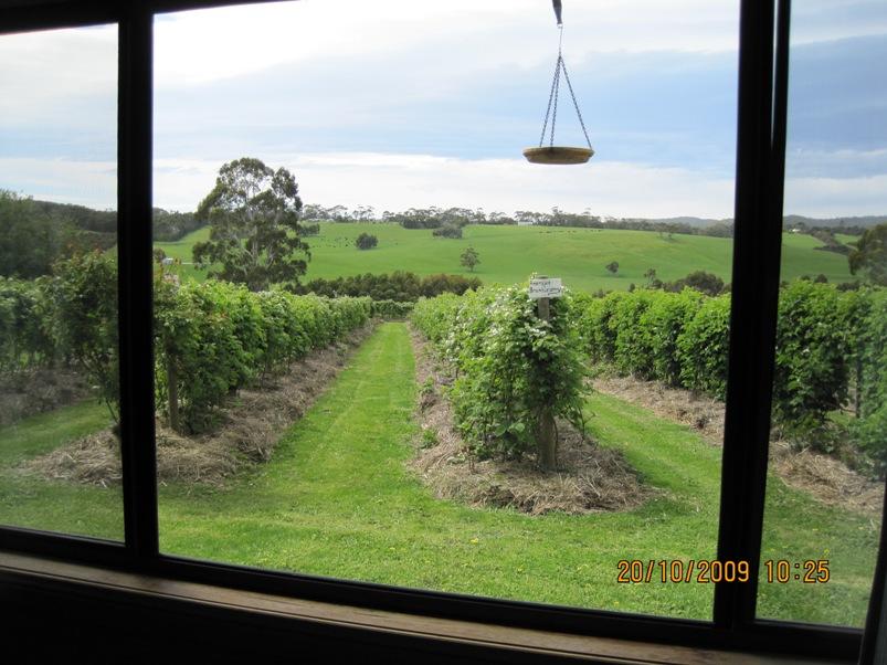 Barwon Downs ACT Food Delivery Shop