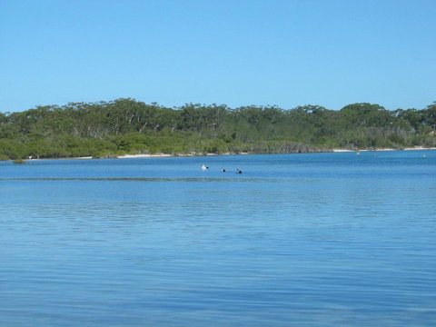 Pet Friendly - Exceptional Beachside Location - Food Delivery Shop 3