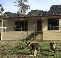 Pinnacle Views - Pet Food Australia