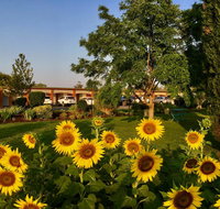 Quirindi Sunflower Motor Inn - Food Delivery Shop