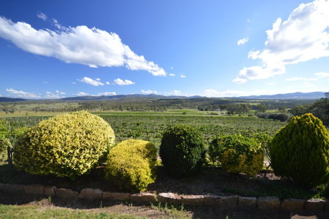 Sancerre Estate - Food Delivery Shop 0