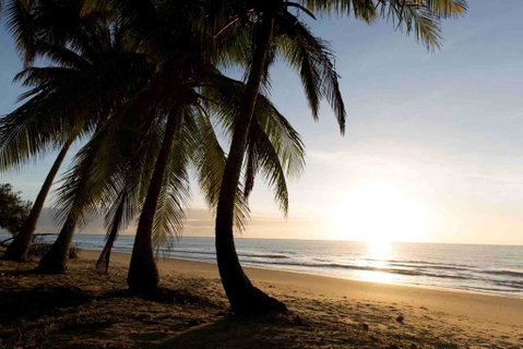 Spice At Oak Award Winning Luxury Absolute Oceanfront House Oak Beach Near Port Douglas - Food Delivery Shop 1