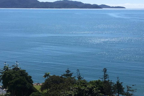 Studio 1201 - Food Delivery Shop 2