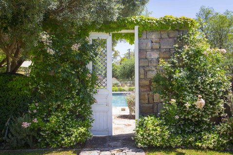 Talits Vineyard Estate - Food Delivery Shop 2