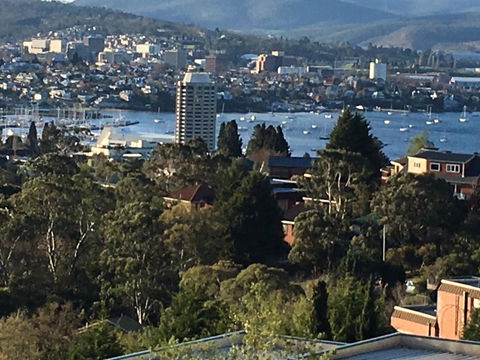 The Lookout - Food Delivery Shop 1