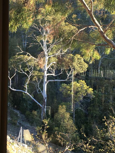 The Lookout - Food Delivery Shop 22