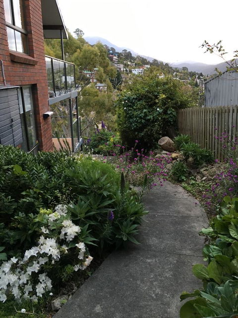 The Lookout - Food Delivery Shop 23