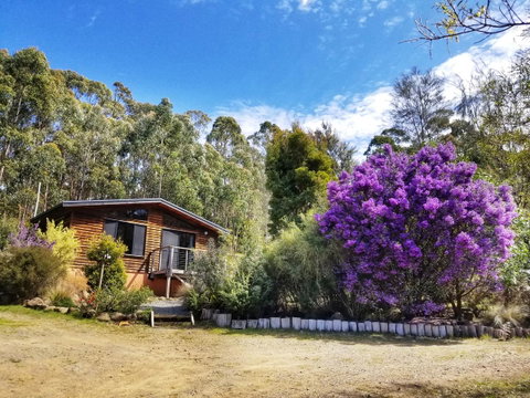 Southern Forest Accommodation - Food Delivery Shop 10