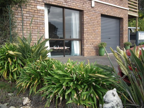 Harlea - Food Delivery Shop 12