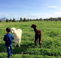 Taras Richmond Farmstay - Food Delivery Shop