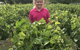 Taras Richmond Farmstay - thumb 11