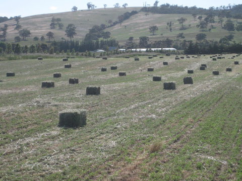 Taras Richmond Farmstay - Food Delivery Shop 18