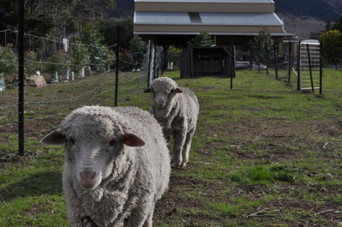 Taras Richmond Farmstay - Food Delivery Shop 14