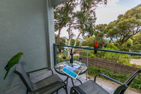 Lorne Surf Apartments - Food Delivery Shop 21